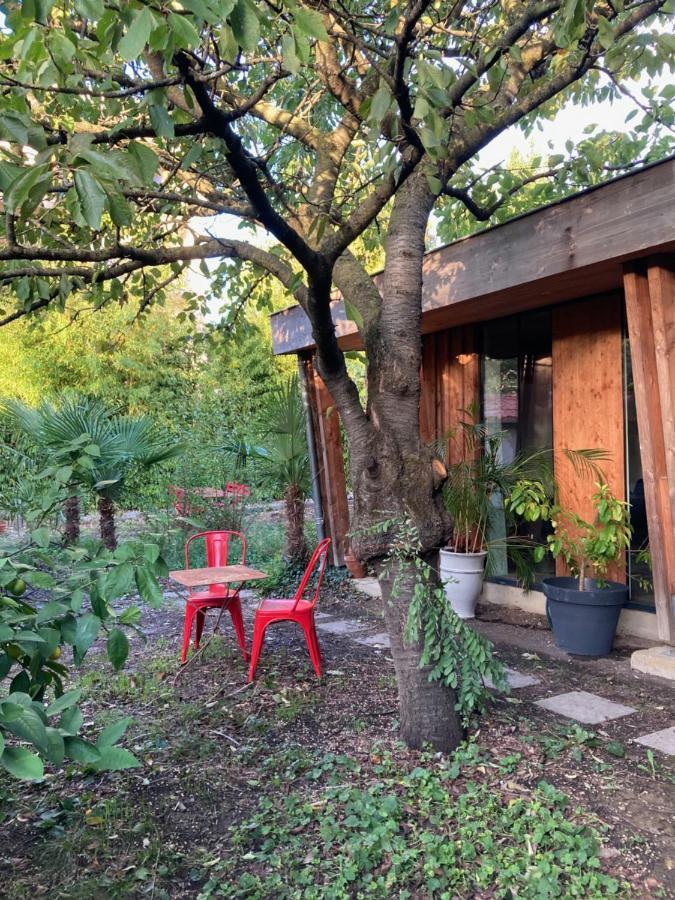 Un Jardin En Ville Toulouse Kültér fotó